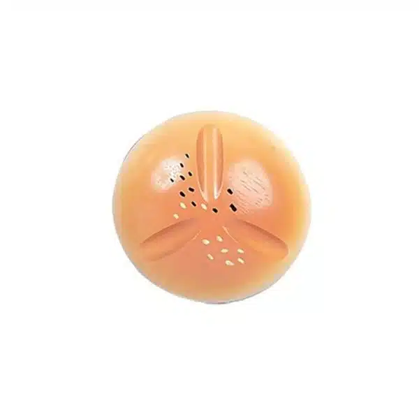 Ensemble de 5 pistolets longs – Image 2