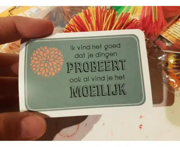 Complimentenspel-autisme - Afbeelding 2