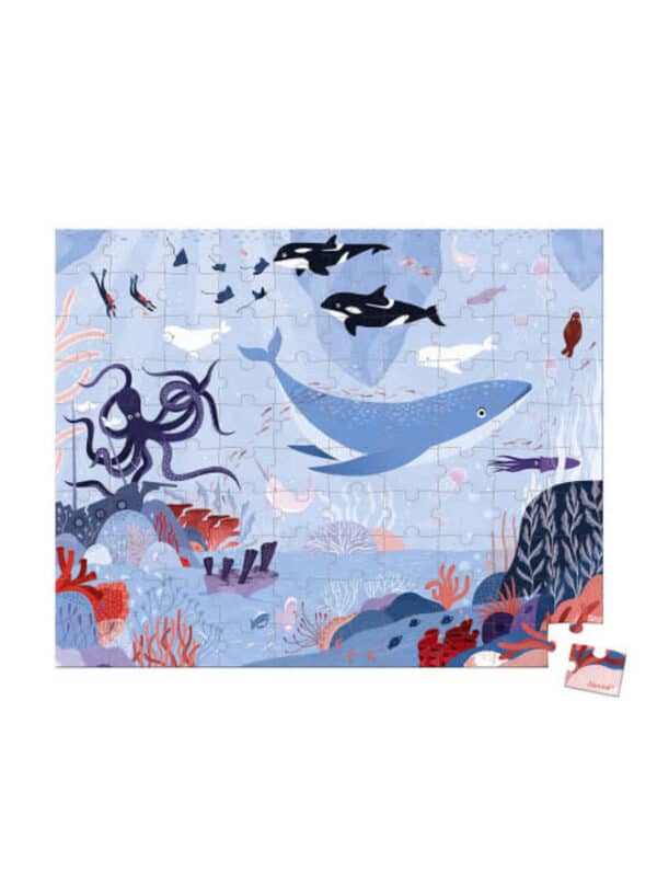 Puzzle l'océan Arctique