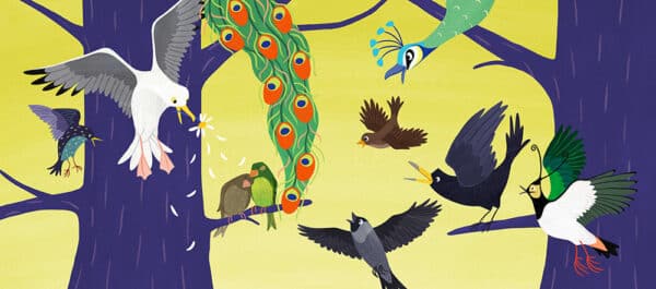 Het verlegen vogeltje - Afbeelding 2